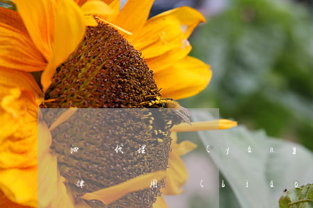 泗陽代理撫養(yǎng)權(quán)律師費用標(biāo)準(zhǔn)(撫養(yǎng)權(quán)律師費是多少)