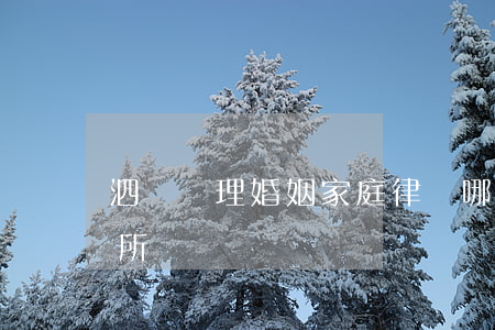 泗陽處理婚姻家庭律師哪個好(泗洪婚姻介紹所)