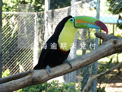 泛海逾期未兌付