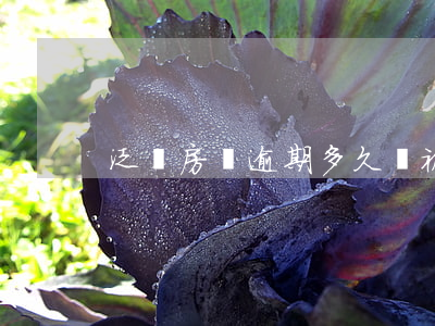 泛華房貸逾期多久會被起訴(泛華金融逾期)