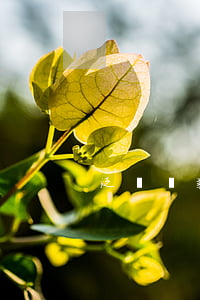 泛華貸款逾期可以辦(泛華金融貸后電話)