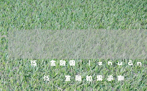 泛華金融周轉(zhuǎn)貸本金逾期起訴 泛華金融如果逾期