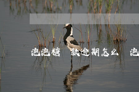 泡泡糖貸款逾期怎么辦(泡泡糖貸款逾期怎么辦)