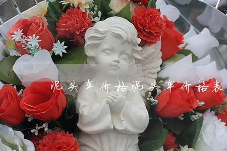 泥头车价格(泥头车价格表)