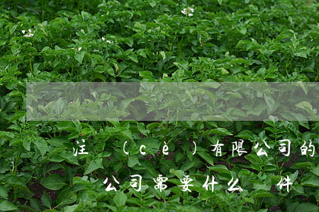 注冊(cè)有限公司的條件(開(kāi)辦公司需要什么條件)