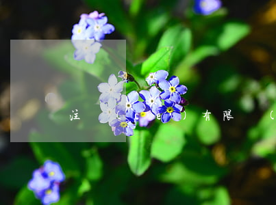 注冊(cè)有限責(zé)任公司條件