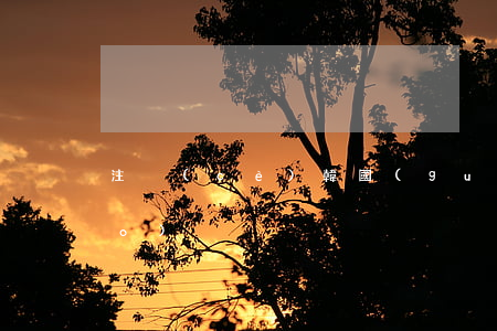 注冊(cè)韓國(guó)商標(biāo)