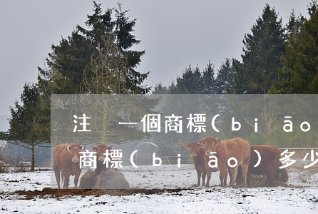 注冊一個商標(biāo)多少錢(注冊一個商標(biāo)多少錢2020)