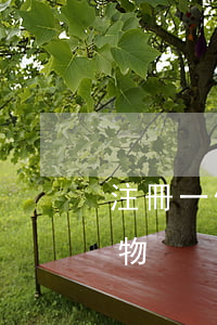 注冊一個商標多少錢(注冊一個商標多少錢藥物)