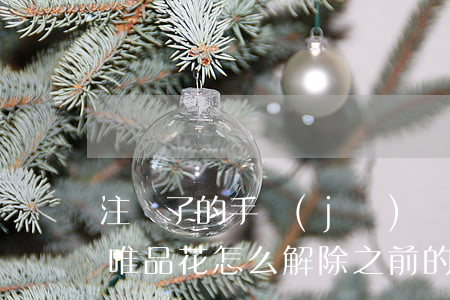 注冊了的手機(jī)號欠了唯品花怎么還(唯品花怎么解除之前的手機(jī)號)