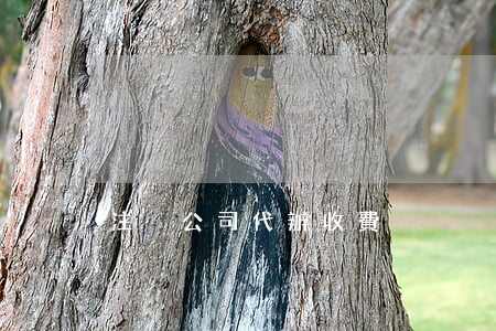 注冊公司代辦收費