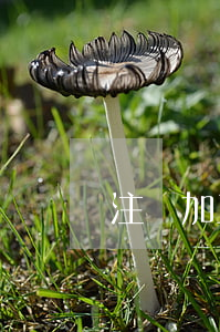注冊加工公司要多少錢