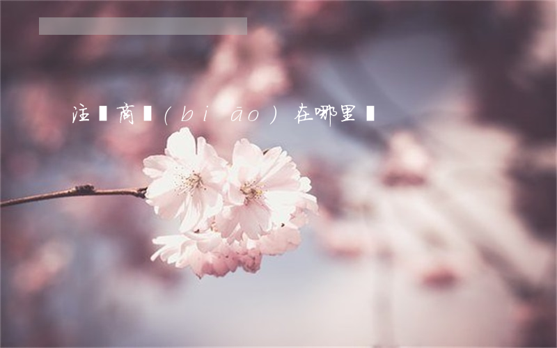 注冊商標(biāo)在哪里辦