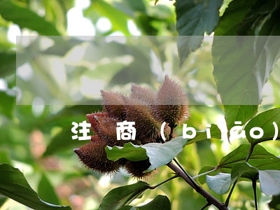 注冊商標(biāo)的禁止條件有哪些