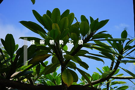 注册劳务公司