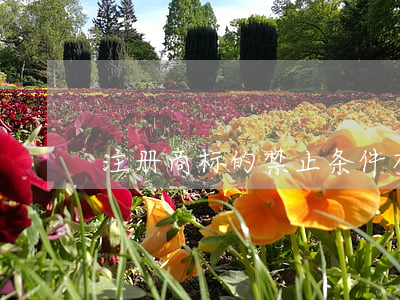 注册商标的禁止条件有哪些