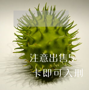 注意！出售5張銀行卡或20張手機(jī)卡即可入刑！