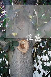 注意：寫這7種借條的人，壓根沒打算還錢！