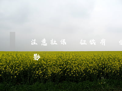 注意！社保費征收有變化！你的到手工資可能受影響！