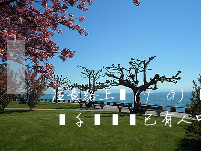 注意！路上發(fā)現(xiàn)這樣的錢，千萬別撿！已有人中招
