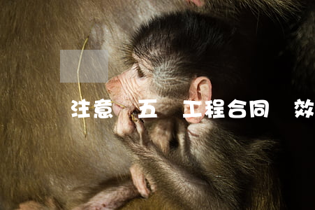 注意：這五類工程合同無效！
