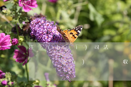 注會(huì)司法雙證年薪多少(cpa和稅務(wù)師雙證收入多少)