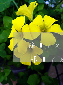 注銷(xiāo)的信用卡有逾期記錄(信用卡銷(xiāo)卡逾期記錄會(huì)一直在嗎)