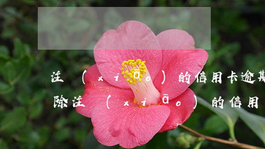 注銷(xiāo)的信用卡逾期記錄怎么消除(注銷(xiāo)的信用卡逾期記錄怎么消除掉)