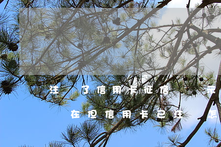 注銷了信用卡征信還顯示逾期(征信逾期記錄還在,但信用卡已注銷怎么辦?)