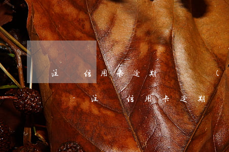 注銷信用卡逾期記錄會(huì)一直保留嗎-注銷信用卡逾期記錄會(huì)一直保留嗎知乎