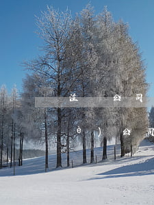 注銷公司需要多少時(shí)間（注冊(cè)公司注銷所需手續(xù)）