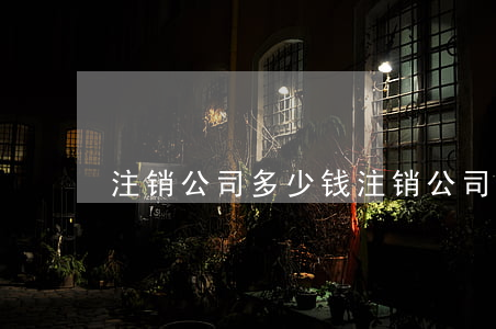 注销公司多少钱(注销公司费用大概多少钱)