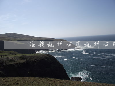 注销杭州公司(杭州公司注销流程)