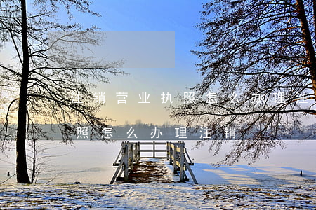 注销营业执照怎么办理注销(广州注销营业执照怎么办理注销)