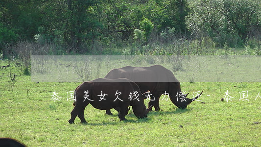 泰国美女欠钱无力偿还-泰国人借钱不还
