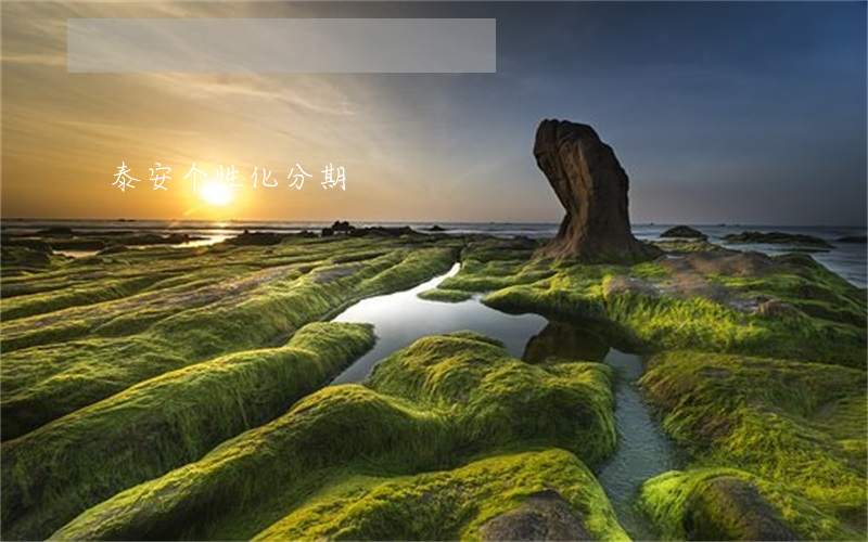 泰安个性化分期