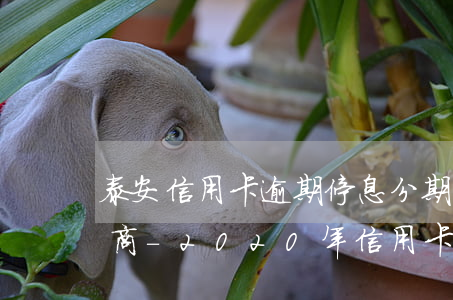 泰安信用卡逾期停息分期怎么協(xié)商-2020年信用卡停息掛賬分期辦理
