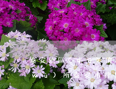 泰安地區(qū)債務(wù)律師事務(wù)所(泰安市律師事務(wù)所電話號碼)