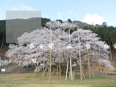 泰安律師在線咨詢（泰安市債務(wù)律師推薦）