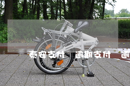 泰安支付寶逾期(支付寶逾期倆月)