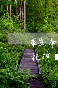 泰安本地交通事故律師怎么委托(交通事故委托律師處理可以嗎)