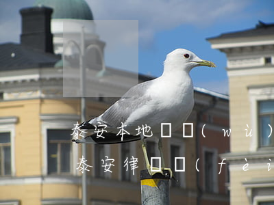 泰安本地債務(wù)律師收費(fèi)(泰安律師費(fèi)用收取標(biāo)準(zhǔn))