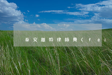 泰安離婚律師費(fèi)(泰興離婚律師)