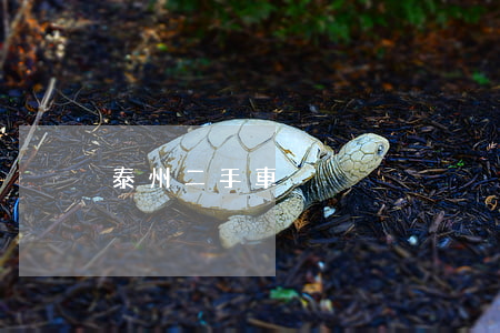 泰州二手車