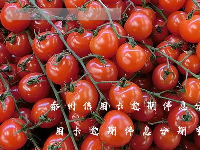 泰州信用卡逾期停息分期申請條件-泰州信用卡逾期停息分期申請條件是什么