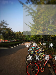 泰州信用卡逾期還不起怎么辦-泰州信用卡逾期還不起怎么辦