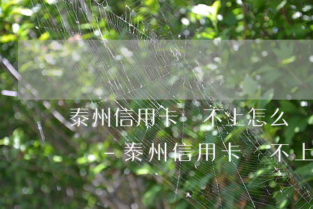 泰州信用卡還不上怎么辦會(huì)判刑嗎-泰州信用卡還不上怎么辦會(huì)判刑嗎知乎