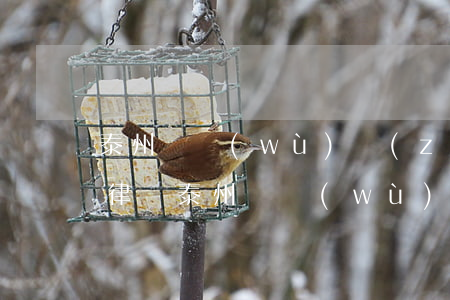 泰州債務(wù)轉(zhuǎn)移糾紛律師 泰州債務(wù)轉(zhuǎn)移糾紛律師費用