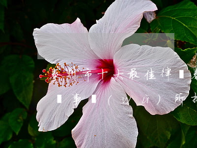 泰州市十大最佳律師(泰州海陵區(qū)律師事務(wù)所排名)