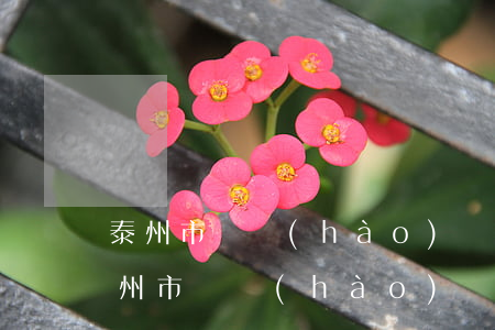 泰州市賬號(hào)盜竊多少可以立案(泰州市賬號(hào)盜竊多少可以立案)